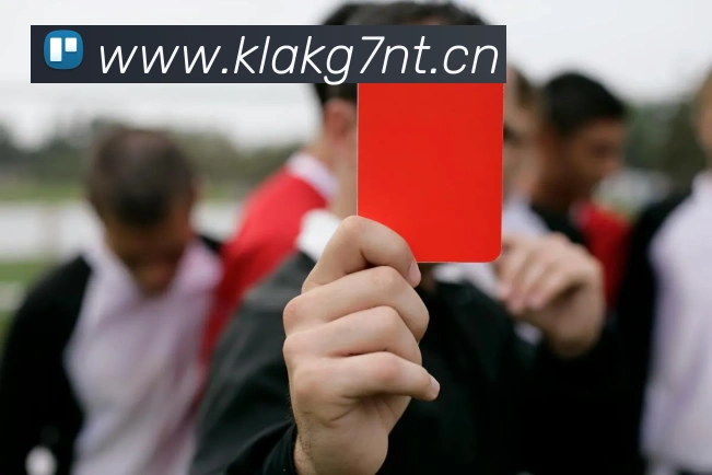 星空app网页登录入口服务体系